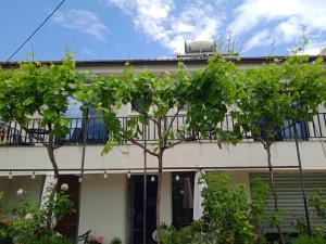 a house with a balcony and trees in front of it at Velia Rooms in Përmet