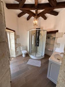 a bathroom with a shower and a toilet at La Brosse Estate - Chateau de la Brosse in Lureuil +26 photos