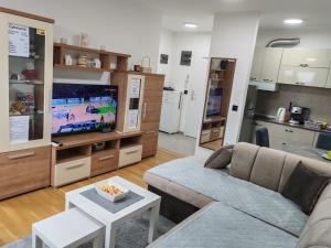 a living room with a couch and a tv at Apartman Max in Modriča