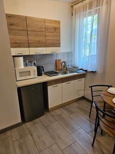 eine kleine Küche mit Spüle und Mikrowelle in der Unterkunft Hostel 405 in Polanka Wielka + 10 Fotos