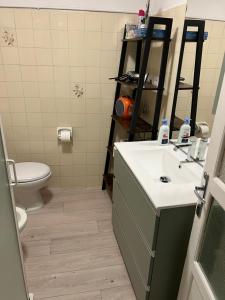 a bathroom with a sink and a toilet at Cà Rosina Casavacanze in Brusimpiano