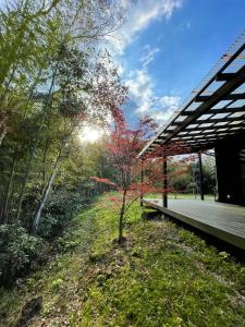 a pavilion with a tree in the middle of a park at Gubo 里山ヴィレッジ 白木 in Katsuura