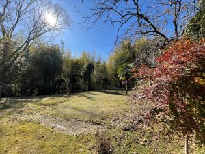 a grassy field with trees in the background at Gubo 里山ヴィレッジ 白木 in Katsuura