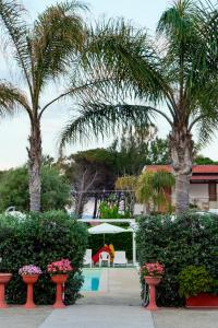 ein Resort mit Palmen, einem Pool und Blumen in der Unterkunft Sole D'oriente in Palmi