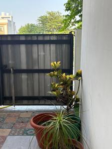 a plant in a pot next to a fence at Kesarionstay in Indore