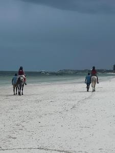 a group of people riding horses on the beach at Gadea Boutique Hotel in Jambiani