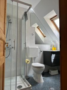 a bathroom with a toilet and a glass shower at Apartmaji Anže Kranjska Gora in Kranjska Gora +21 photos