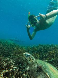 a man swimming over a sea turtle in the ocean at QUEEN SASTINA guest house in Nilaveli