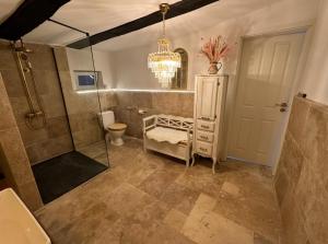 a bathroom with a shower and a toilet and a chandelier at Villa Dornröschen Grebenstein in Grebenstein +51 photos