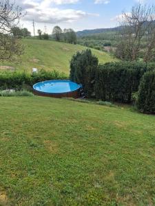 a pool in the middle of a grassy yard at Apartmán Michaela in Turnov
