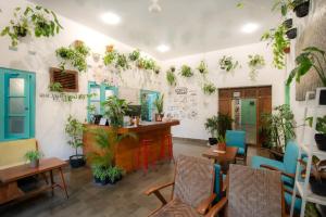 a restaurant with potted plants on the walls at Snooze Yogyakarta in Yogyakarta