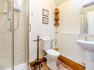 a bathroom with a shower and a toilet and a sink at The Shepherds Rest - Uk45532 in Buildwas