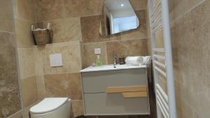 a bathroom with a toilet and a sink and a mirror at Villa Studio Cosy Hauteur Vallauris L'Atelier in Vallauris +40 photos