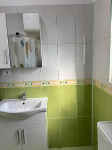 a bathroom with green and white walls and a sink at Villa 7 in Durrës +33 photos