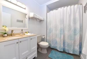 a bathroom with a toilet and a shower curtain at Downtown Suite #4 - Wharf View in Newport