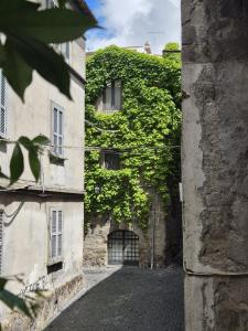 an alley with ivy growing on the side of a building at PapalePapale Home in Viterbo