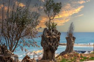 two trees on the beach with the ocean in the background at Volta Seaside Boutique Hotel in Kokkini Khanion