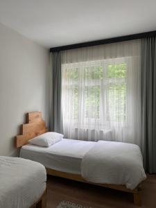 two beds in a bedroom with a window at Pine Suit in Çamlıhemşin