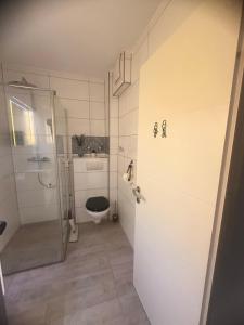 a bathroom with a toilet and a shower at Smile Home in Klagenfurt +8 photos
