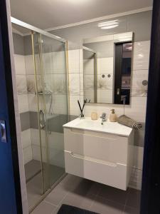a bathroom with a white sink and a shower at GZP Residence Lugoj 6 in Lugoj