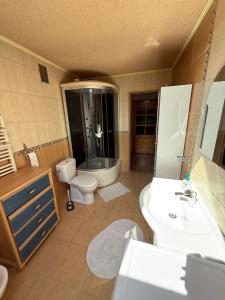 a bathroom with a sink and a toilet and a shower at Pokoje Przy Szlaku Agroturystyka in Żabnica