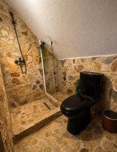 a bathroom with a black toilet and a shower at Casa Rosso in Valea Măceşului +6 photos