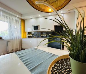 a kitchen with a table and a potted plant at Apartament 14 in Zwierzyniec