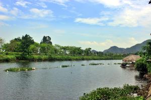 a river with a bunch of animals in the water at Hideaway Village Homestay in Xuân Sơn +94 photos