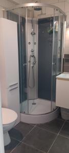 a bathroom with a shower and a toilet at maison cosy pour 4 à 5 personnes 10mns des plages in Sanary-sur-Mer +19 photos