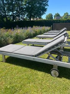a row of empty beds sitting in the grass at The Cotton Suites B&B in Deerlijk