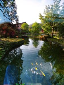 un estanque con cometas en el agua en un patio en Old House Homestay en Sanxing