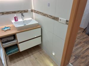 a bathroom with a sink and a counter at NEU! Fewo Calbe an der Saale in Calbe +13 photos