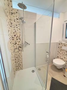 a bathroom with a shower and a toilet at Casa Nova Apartment in Geislingen an der Steige