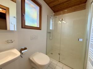 a bathroom with a shower and a toilet and a sink at Eanta SUNNY & MOUNTAIN chalet 10 pers by Alpvision Résidences in Veysonnaz +33 photos