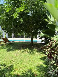 a tree in the grass next to a swimming pool at Lion Gate Hotel Sigiriya in Sigiriya