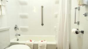 a bathroom with a toilet and a bath tub at Indianhead Ironwood Hotel in Ironwood +37 photos