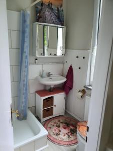 a small bathroom with a sink and a mirror at Die Kleine Ferienwohnung in Schneverdingen +20 photos