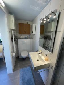 a bathroom with a sink and a toilet at Lieblingsplatz im Grünen - 1 Schlafzimmer in Schweich +9 photos