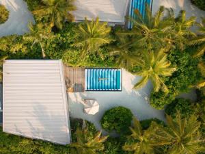 an overhead view of a swimming pool and palm trees at SO/ Maldives in South Male Atoll