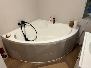 a bath tub with a shower in a bathroom at Appartement cosy Rosheim in Rosheim +16 photos