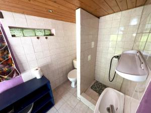 a bathroom with a sink and a toilet at Chata Lesní Vyhlídka in Splzov