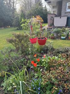 two red flower baskets in a garden with flowers at Charming loft sleeps up to 9 with spa option in Bournemouth