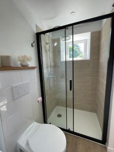 a bathroom with a toilet and a glass shower at La MaiZon in Lazenay +10 photos