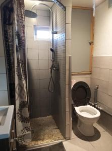 a bathroom with a shower and a toilet at Maisonnette en pierre in Saint-Victor-de-Malcap