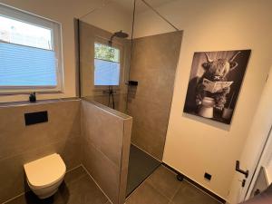 a bathroom with a shower and a toilet at Ferienhaus Lenz in Kalenborn