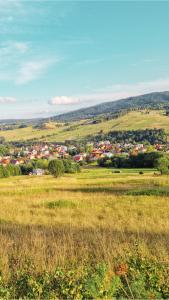 a field of grass with a town in the distance at Check in Silence in Tylicz
