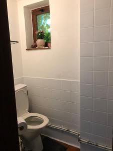 a bathroom with a toilet and a window at mini caravane teardrop in Saint-Denis +3 photos