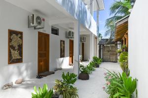 an empty courtyard of a house with plants at Dive and Sleep - All Inclusive Diving Guesthouse - 3 Dives per day in Maamigili
