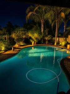 a large blue pool with palm trees at night at Hartbeespoort - El-Tsuri Guest Resort in Hartbeespoort +66 photos