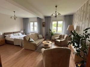a living room with a bed and a couch and chairs at Apartamenty Vega in Charzykowy